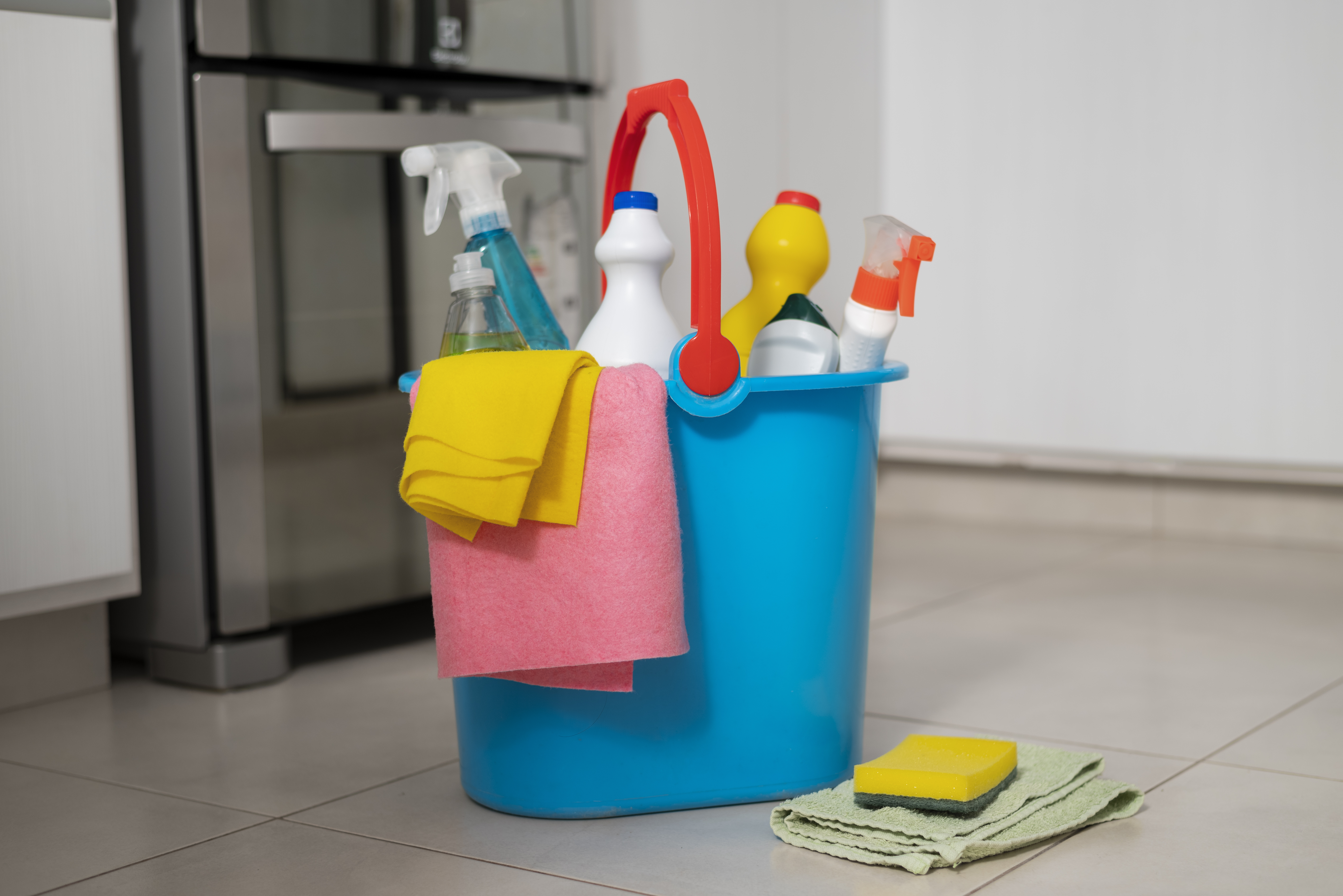 Limpieza y Cuidado del Hogar